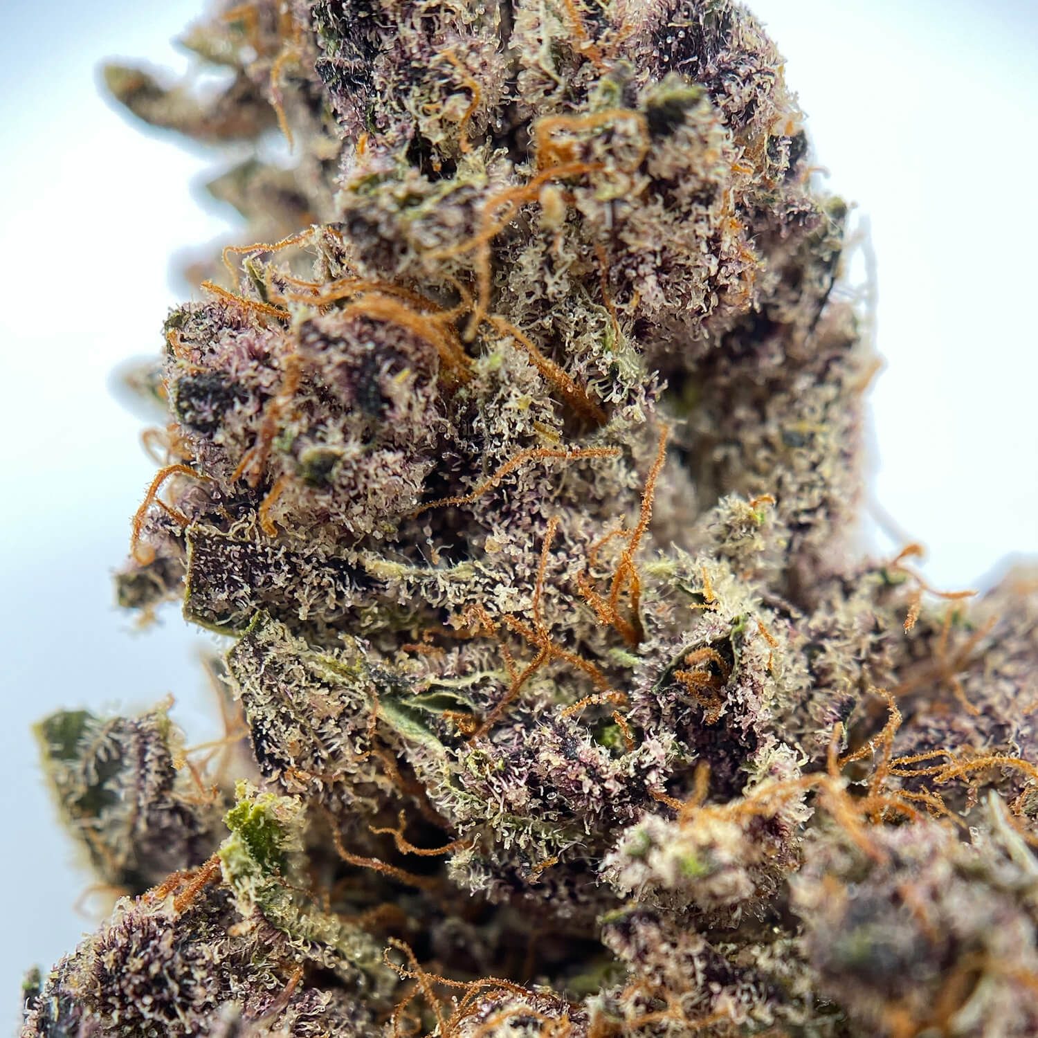 Medispensary Weed delivery Toronto 