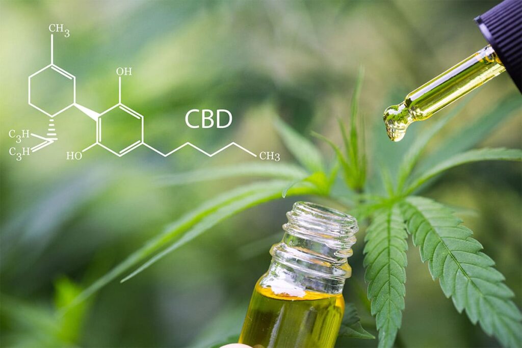 cbd oil canada 